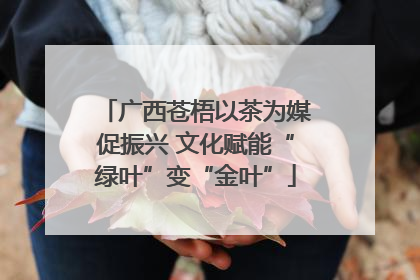 广西苍梧以茶为媒促振兴 文化赋能“绿叶”变“金叶”