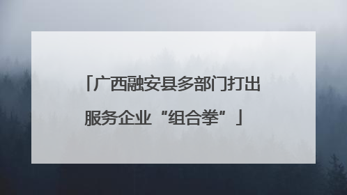 广西融安县多部门打出服务企业“组合拳”