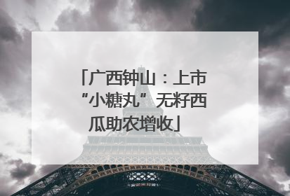 广西钟山：上市“小糖丸”无籽西瓜助农增收