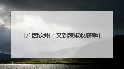 广西钦州：又到辣椒收获季