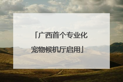 广西首个专业化宠物候机厅启用