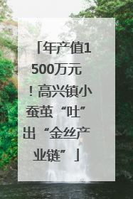 年产值1500万元！高兴镇小蚕茧“吐”出“金丝产业链”