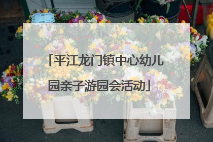 平江龙门镇中心幼儿园亲子游园会活动