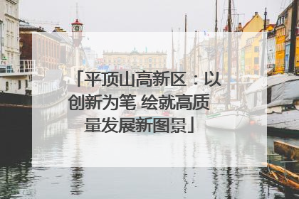 平顶山高新区：以创新为笔 绘就高质量发展新图景