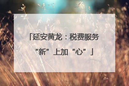 延安黄龙：税费服务“新”上加“心”