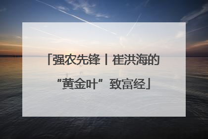 强农先锋丨崔洪海的“黄金叶”致富经