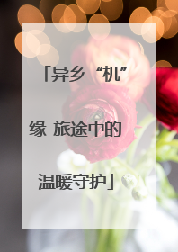 异乡“机”缘-旅途中的温暖守护