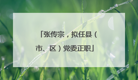 张传宗，拟任县（市、区）党委正职