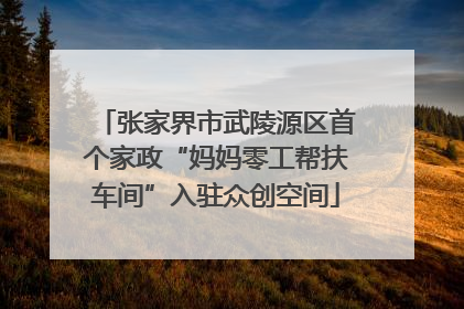 张家界市武陵源区首个家政“妈妈零工帮扶车间”入驻众创空间