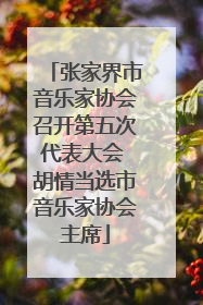 张家界市音乐家协会召开第五次代表大会 胡情当选市音乐家协会主席