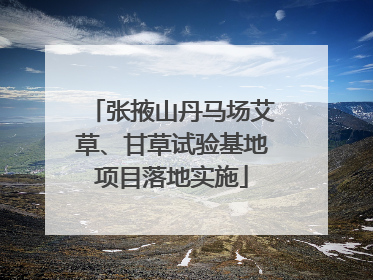 张掖山丹马场艾草、甘草试验基地项目落地实施