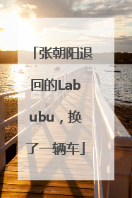 张朝阳退回的Labubu，换了一辆车