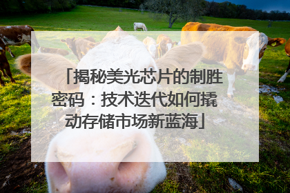 揭秘美光芯片的制胜密码：技术迭代如何撬动存储市场新蓝海