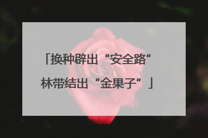 换种辟出“安全路” 林带结出“金果子”