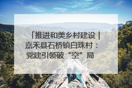 推进和美乡村建设｜嘉禾县石桥镇白珠村：党建引领破“空”局 乡贤聚力绘就新图景