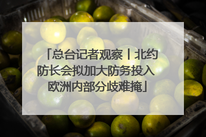 总台记者观察丨北约防长会拟加大防务投入 欧洲内部分歧难掩