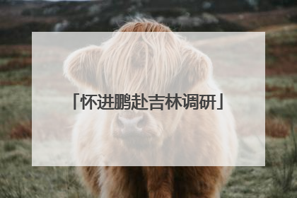 怀进鹏赴吉林调研