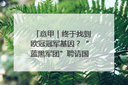意甲｜终于找到欧冠冠军基因？“蓝黑军团”聘请国米名宿齐沃执教