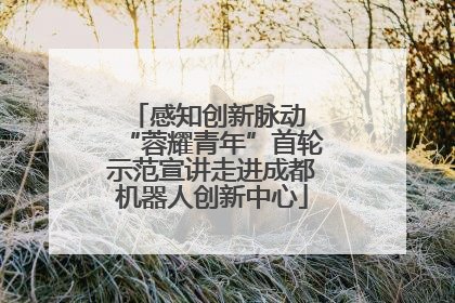 感知创新脉动 “蓉耀青年”首轮示范宣讲走进成都机器人创新中心