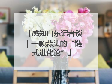感知山东记者谈｜一颗蒜头的“链式进化论”