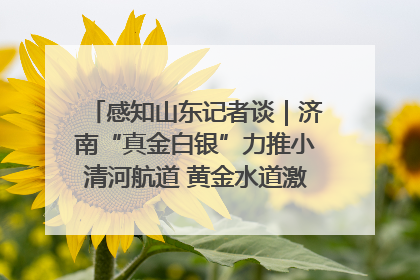 感知山东记者谈｜济南“真金白银”力推小清河航道 黄金水道激活区域经济新动能