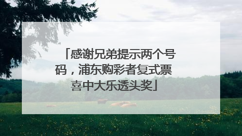 感谢兄弟提示两个号码，浦东购彩者复式票喜中大乐透头奖