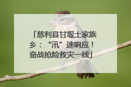 慈利县甘堰土家族乡：“汛”速响应！奋战抢险救灾一线
