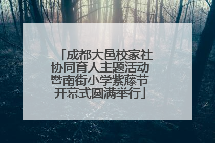 成都大邑校家社协同育人主题活动暨南街小学紫藤节开幕式圆满举行