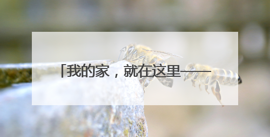 我的家，就在这里——“中国好人”陈树伟再赴广西开展爱心助学