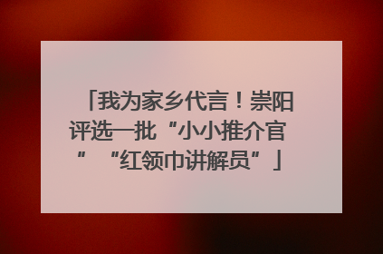我为家乡代言！崇阳评选一批“小小推介官”“红领巾讲解员”