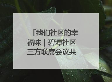 我们社区的幸福味｜碧潭社区三方联席会议共建紫岫幸福家
