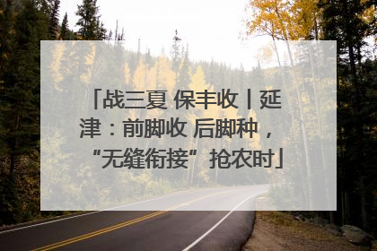 战三夏 保丰收丨延津：前脚收 后脚种，“无缝衔接”抢农时