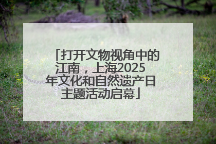 打开文物视角中的江南，上海2025年文化和自然遗产日主题活动启幕