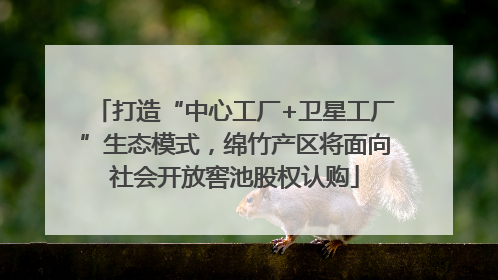 打造“中心工厂+卫星工厂”生态模式，绵竹产区将面向社会开放窖池股权认购