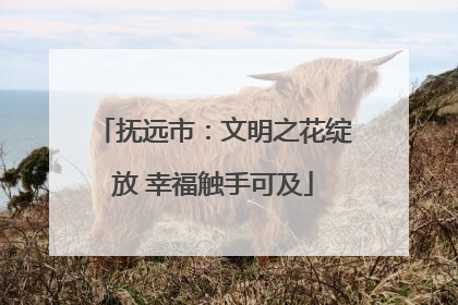 抚远市：文明之花绽放 幸福触手可及