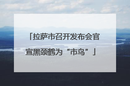 拉萨市召开发布会官宣黑颈鹤为“市鸟”