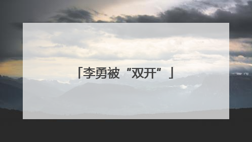 李勇被“双开”