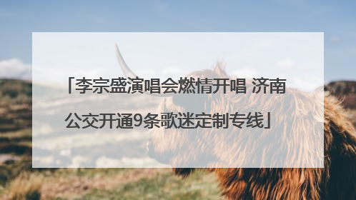 李宗盛演唱会燃情开唱 济南公交开通9条歌迷定制专线