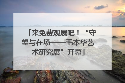 来免费观展吧！“守望与在场——毛本华艺术研究展”开幕