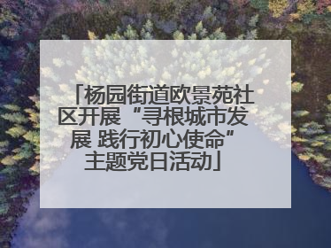 杨园街道欧景苑社区开展“寻根城市发展 践行初心使命”主题党日活动
