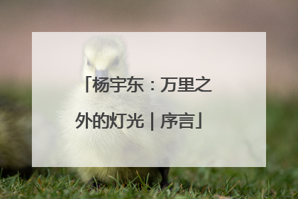 杨宇东：万里之外的灯光｜序言
