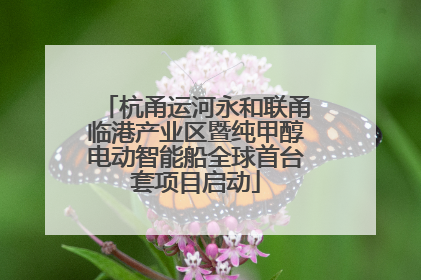 杭甬运河永和联甬临港产业区暨纯甲醇电动智能船全球首台套项目启动