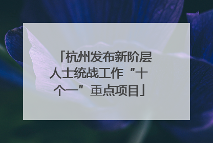 杭州发布新阶层人士统战工作“十个一”重点项目