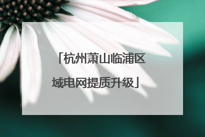 杭州萧山临浦区域电网提质升级