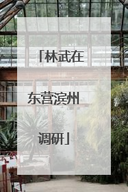 林武在东营滨州调研