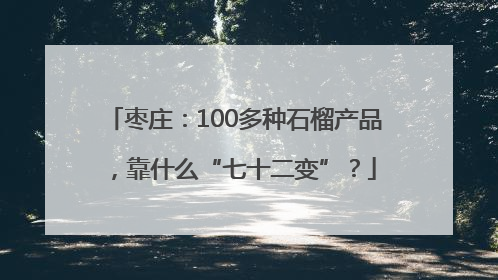 枣庄：100多种石榴产品，靠什么“七十二变”？