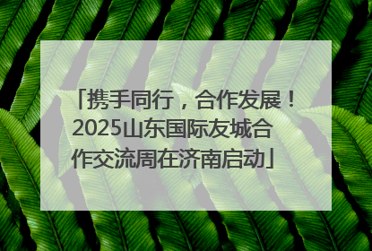 携手同行，合作发展！2025山东国际友城合作交流周在济南启动