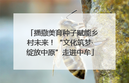 播撒美育种子赋能乡村未来！“文化筑梦·绽放中原”走进中牟
