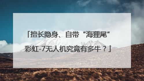 擅长隐身、自带“海狸尾” 彩虹-7无人机究竟有多牛？