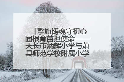 擎旗铸魂守初心 固根育苗担使命——天长市炳辉小学与萧县师范学校附属小学结对共建活动纪实